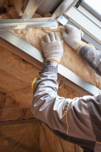 Best Spray Foam Insulation  in Wickes, AR