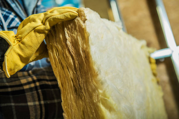 Best Local Insulation Services  in Wickes, AR